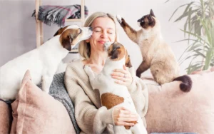 An image of a person getting cuddles from two dogs and a cat
