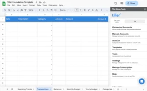 Tiller Foundation budget template sample