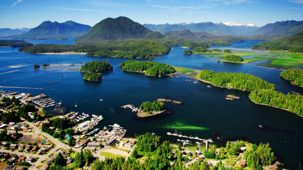 Tofino has world-class waves